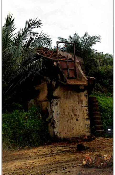POS PASIK, GUA MUSANG – LADANG KELAPA SAWIT UNTUK DIJUAL 