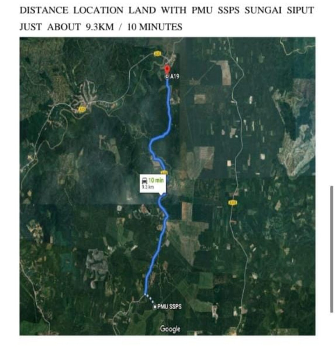 🌴 SUNGAI SIPUT, KUALA KANGSAR – LADANG KELAPA SAWIT UNTUK DIJUAL