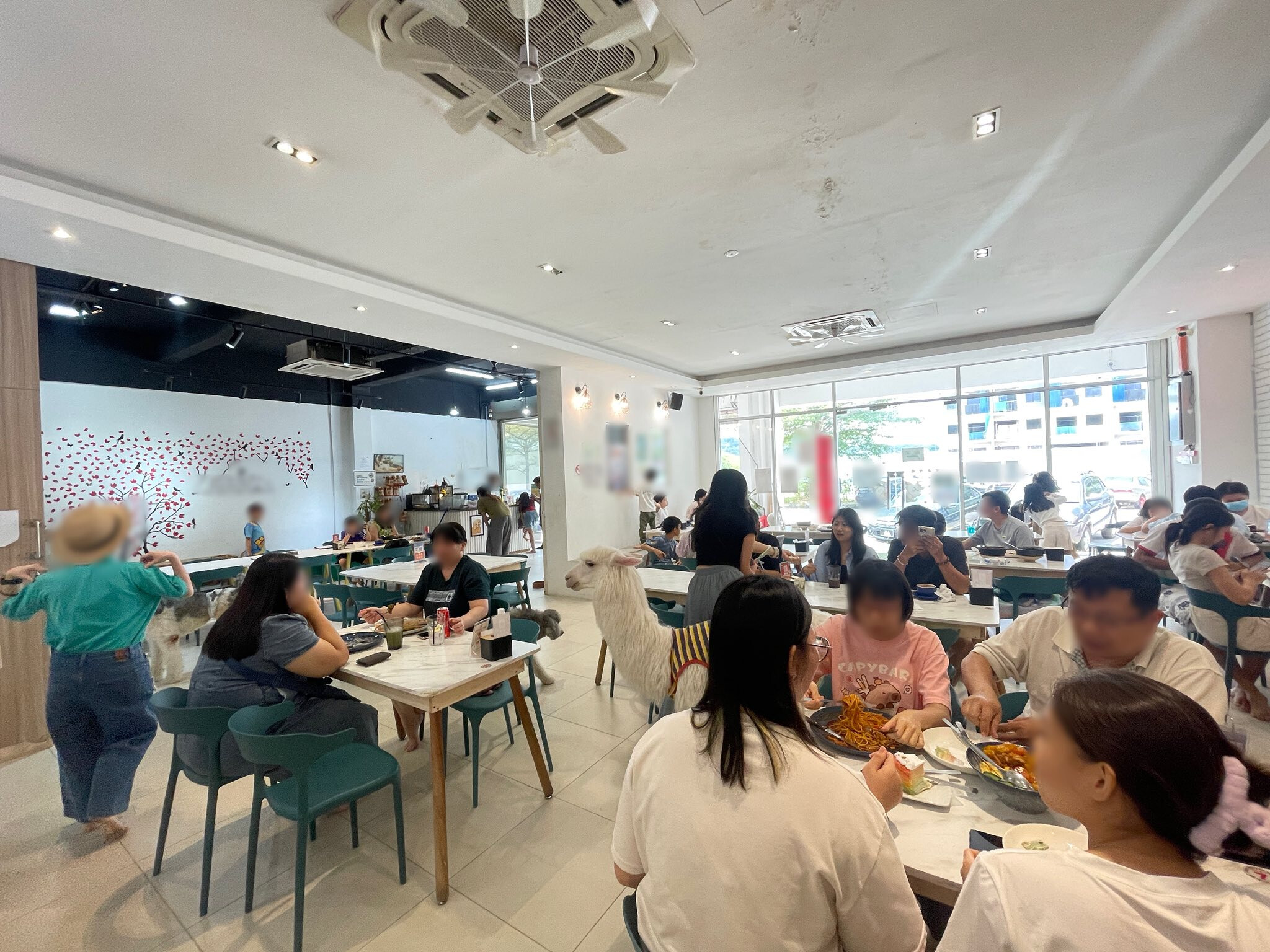  Pet-Themed Café for Sale @ Seri Kembangan