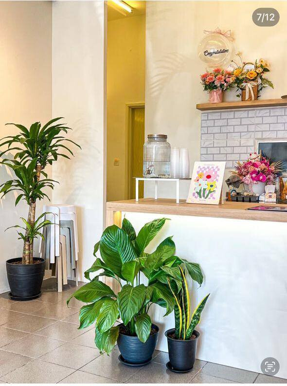 Cozy Café for Sale @ Sungai Nibong, Penang 