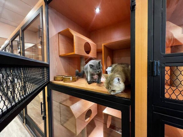  PETSHOP (PET HOTEL) UNTUK DIJUAL