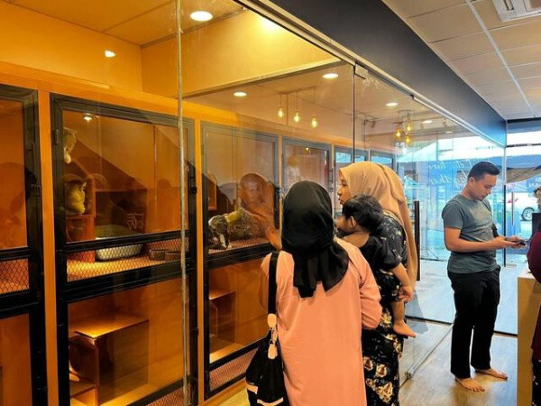 Petshop (Pet Hotel) di K. Terengganu untuk dijual