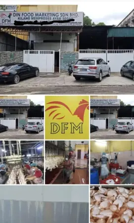 Kilang proses ayam di Shah alam untuk dijual