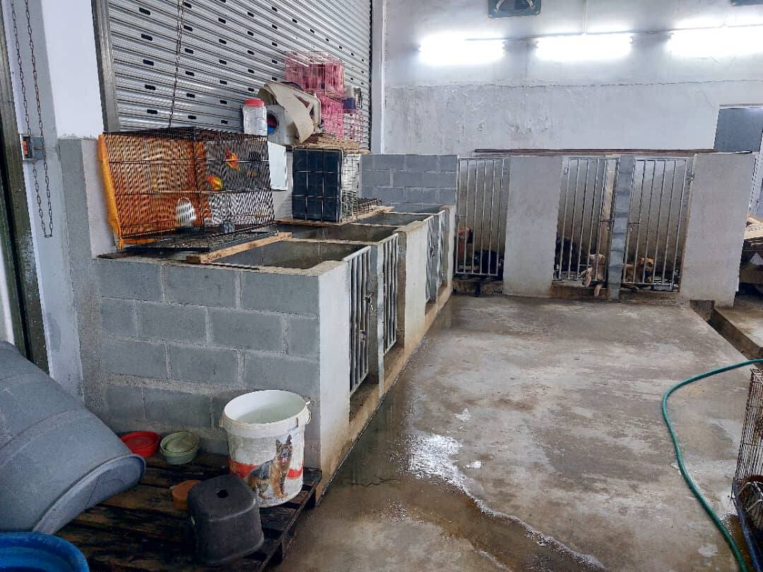 Pet Business for Sale