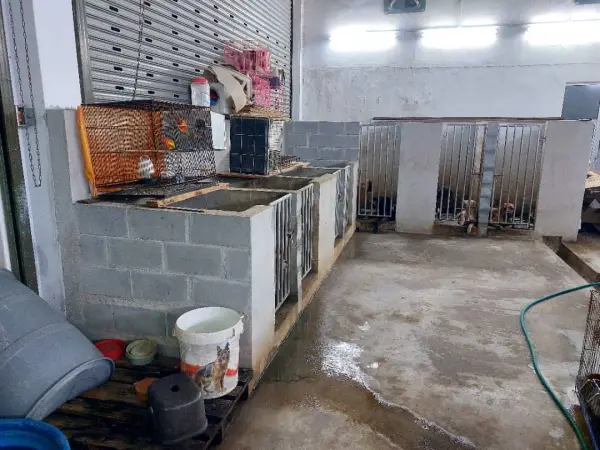 Pet Business for Sale