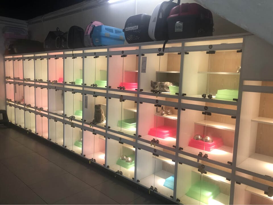 Pet Shop Business for Sale – Batu Caves, Selangor