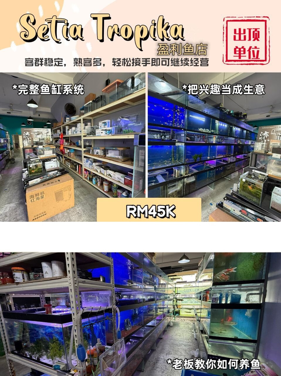 Setia Tropika 盈利观赏鱼店 出顶