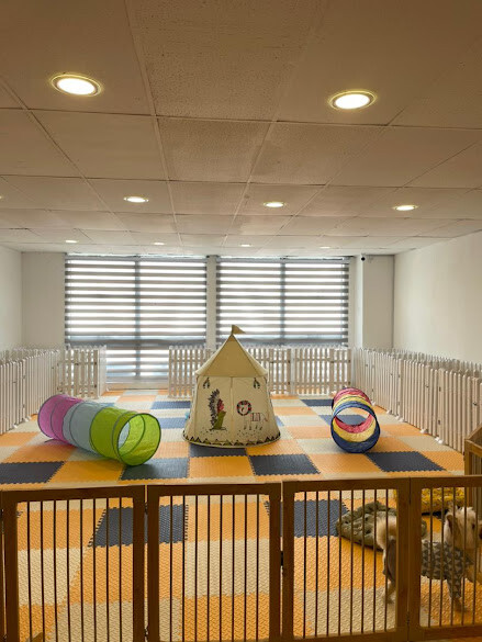 Pet Boarding Business For Sale - Low Rental