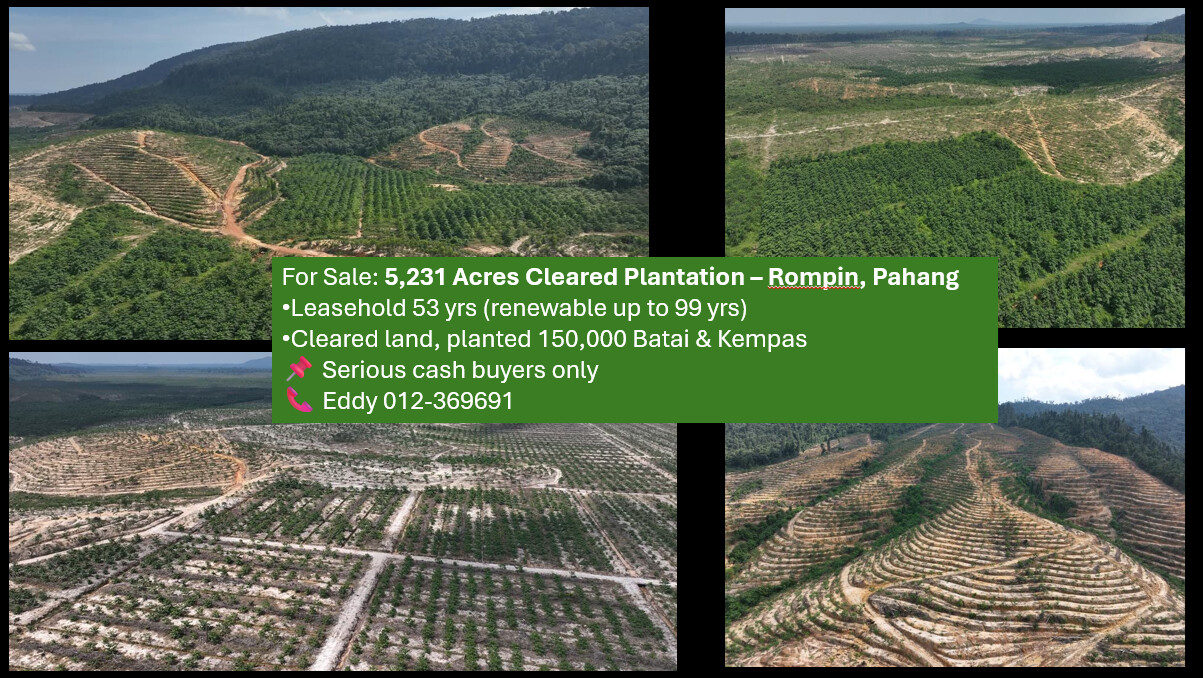Rompin Pahang land
