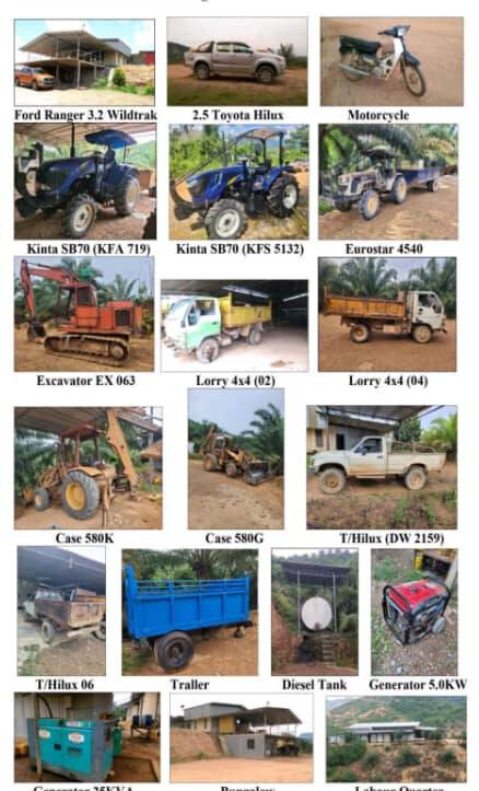 FOX CAVE PALM COCONUT FARM FOR SALE