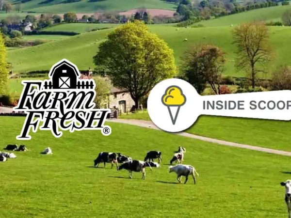 Unlocking Growth Through Strategic Partnerships: Farm Fresh's Bold Move into the Ice Cream Market